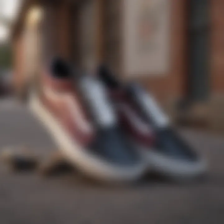 Notable The Cultural Impact and Evolution of Vans Old Skool SK8 Shoes