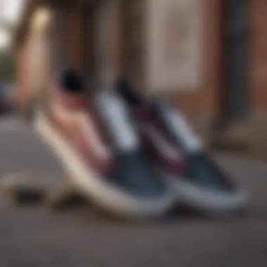 Notable The Cultural Impact and Evolution of Vans Old Skool SK8 Shoes Notable The Cultural Impact and Evolution of Vans Old Skool SK8 Shoes
