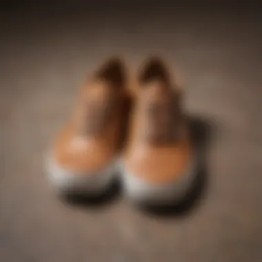 Diverse Styles of Tan Leather Vans An organized collection of tan leather Vans in different styles and designs