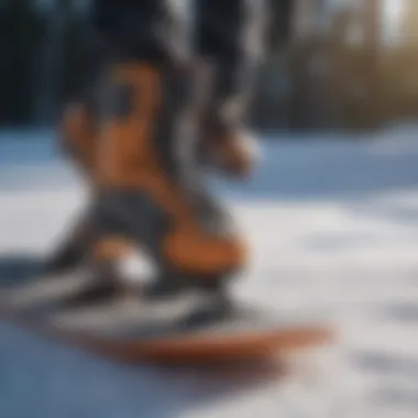 Variety of Snowboard Edge Tools Explained Different types of snowboard edge tools arranged neatly