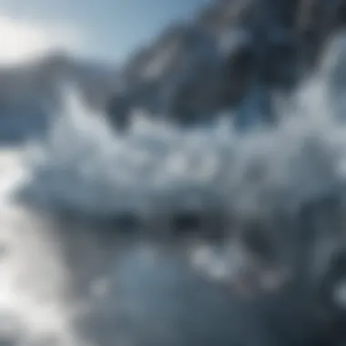 Nature's Icy Canvas An intricate design of ice formed through the natural elements, symbolizing the artistry involved in winter sports.