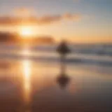 Majestic sunrise over Bondi Beach with surfers catching waves