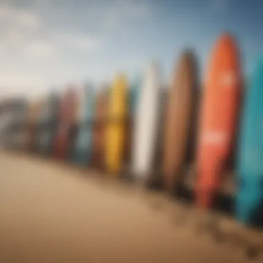 An array of surfboards lined up on the sand, showcasing the variety of gear used by surfers.