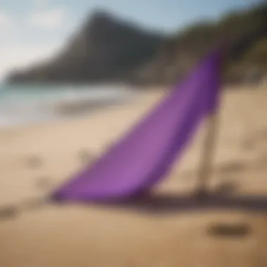 Purple Flag: Dangerous Marine Life Warning Purple flag warning of dangerous marine life