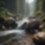 A pristine mountain stream representing clean water sources