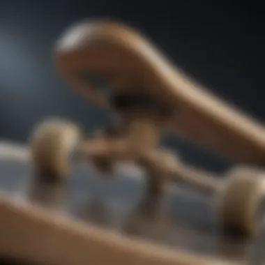 Anatomical Structure of Skateboard Bones Detailed diagram of skateboard bones and their structure