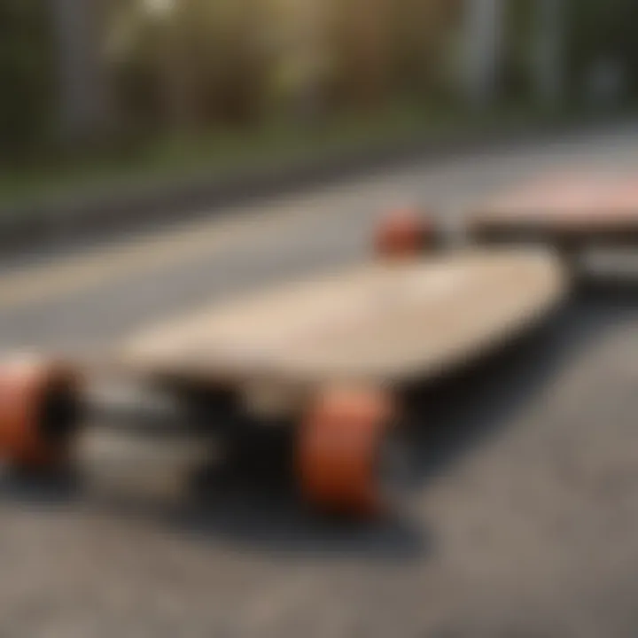 Diverse types of longboards displayed together