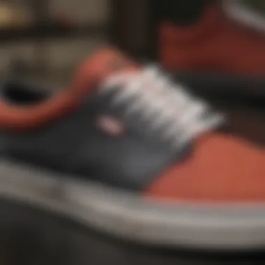 Close-up of the advanced material technology used in Vans Scotty Cranmer shoes